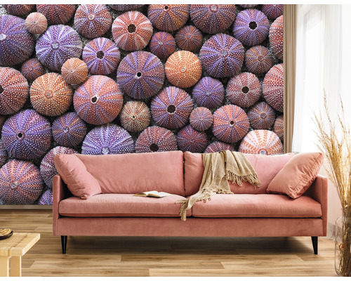 Mur décoratif avec canapé et motif d''oursin pour une ambiance lumineuse.