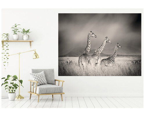 Dekorative Wand mit einem Schwarzweiß-Foto von drei Giraffen in einer Steppe, ergänzt durch einen Sessel, eine Stehlampe und Zimmerpflanzen.