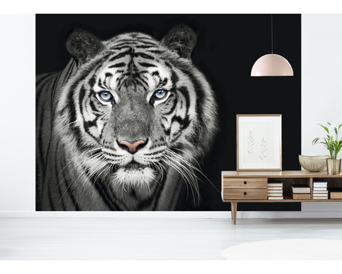 Mur avec papier peint photo d''un tigre en noir et blanc.