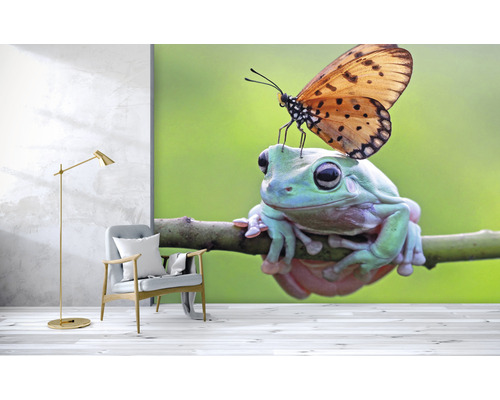 Papier peint avec grenouille et papillon dans un salon avec lampe et fauteuil