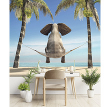 Papier peint panoramique intissé HRBP100019 Éléphant dans un hamac 7 pces 340 x 254 cm