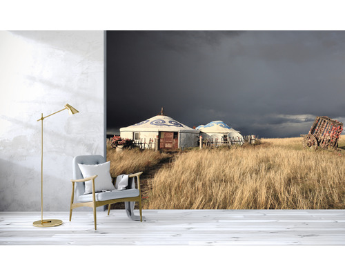 Espace de vie avec un papier peint photo représentant des yourtes dans un paysage herbeux sous un ciel sombre.