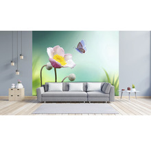 Fototapete Vlies HRBP100061 Blume mit Schmetterling 7-tlg. 340 x 254 cm