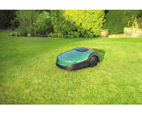 Rasenroboter auf Rasenfläche