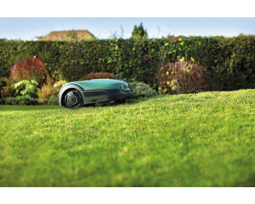 Rasenmäherroboter auf Rasenfläche im Garten