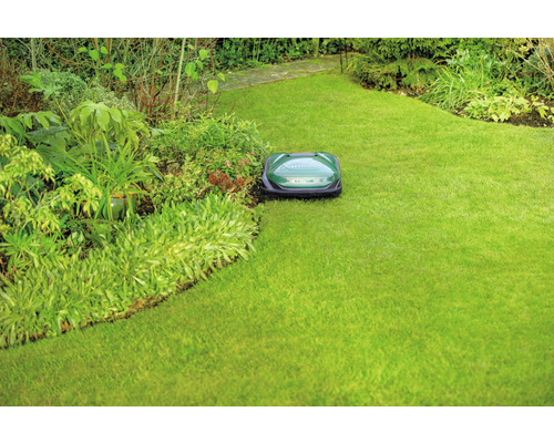 Rasenroboter auf Rasenfläche im Garten