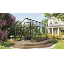 Gewächshaus Vitavia Olymp 11500 Einscheibensicherheitsglas 3 mm 257 x 448 cm schwarz