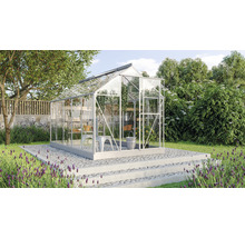 Serre de jardin avec plantes et outils de jardinage