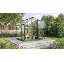 Gewächshaus Vitavia Triton 3800 Einscheibensicherheitsglas 3 mm 198 x 193 cm smaragd