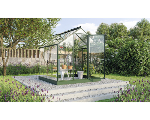 Serre de jardin avec plantes et outils de jardinage