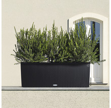 Jardinière noire avec des plantes devant un mur de maison
