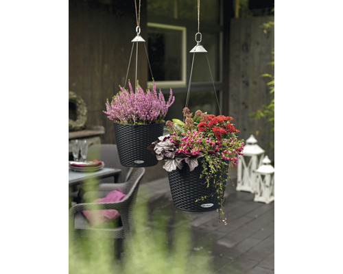 Zwei hängende Pflanzgefäße mit Blumen auf einer Terrasse.