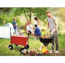 Szene im Freien mit Grill, Holzkohle und Kühlwagen bei einer Gartenparty
