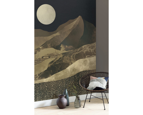 Salon avec une photo de paysage de montagne, un fauteuil, des vases et un plancher en bois.