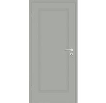 Porte intérieure grise avec poignée de porte et serrure