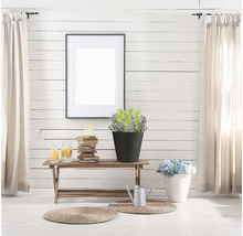 Intérieur décoratif avec banc en bois, cadre et plantes