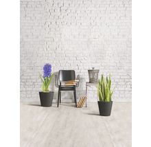 Salle décorative avec chaise, plantes d''intérieur et pile de livres contre un mur de briques