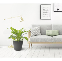 Scène d''intérieur décorative avec plante d''intérieur en pot, lampadaire et canapé