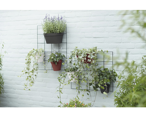 Décoration murale avec des plantes en pot sur un treillis noir