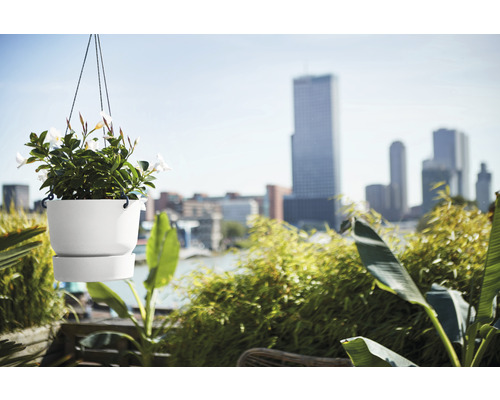 Szene mit einem hängenden Pflanztopf mit Pflanzen auf einem Balkon