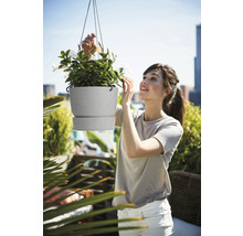 Femme regardant une suspension avec des plantes sur un balcon.