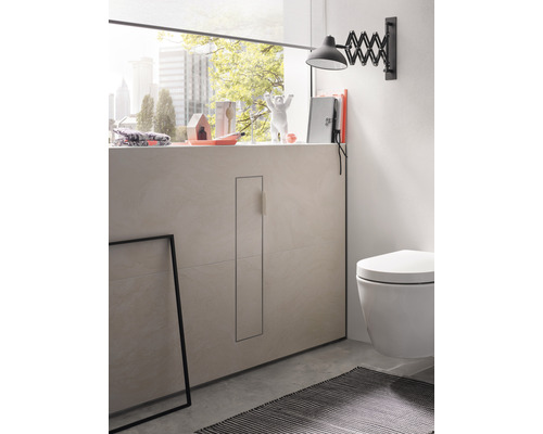 Salle de bain moderne avec toilettes et décoration de rebord de fenêtre