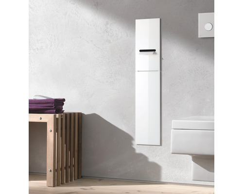 Badezimmer mit Handtuchhalter, Ablage und Toilette