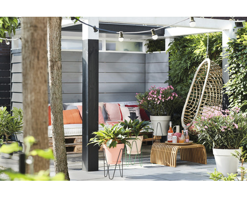 Terrasse mit Sitzgelegenheit, Hängekorb und Pflanzen in Töpfen