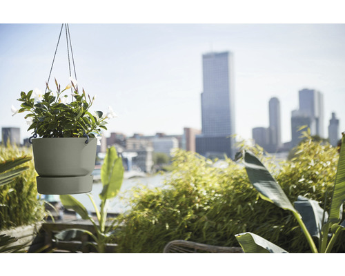Hängeampel mit Pflanze vor Stadtkulisse