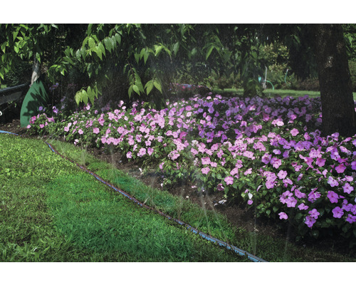 Bewässerungssystem im Garten mit Blumenbeet und Rasenfläche