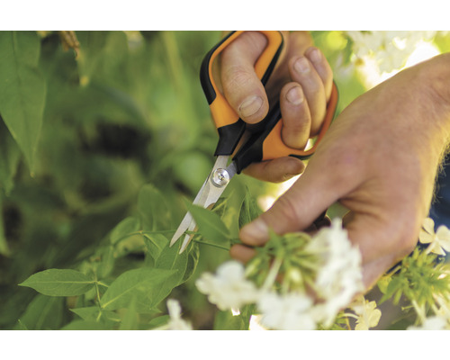 Sécateur coupant des plantes