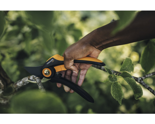 Sécateur coupant une branche