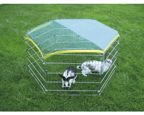 Enclos extérieur avec deux lapins dans le jardin