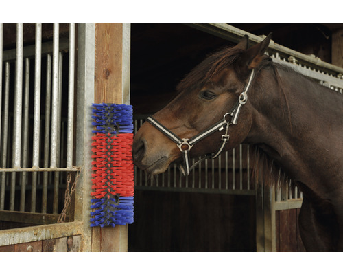 Écurie avec brosse de massage pour chevaux sur poteau