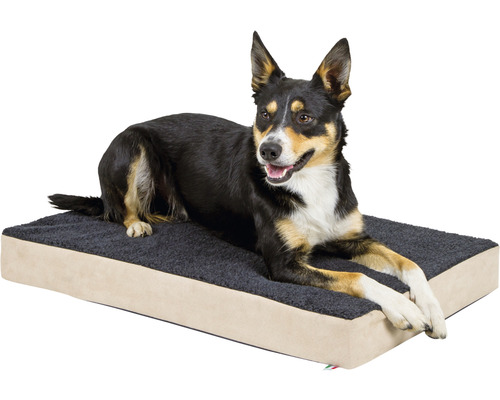 Hund liegt entspannt auf einem orthopädischen Hundebett