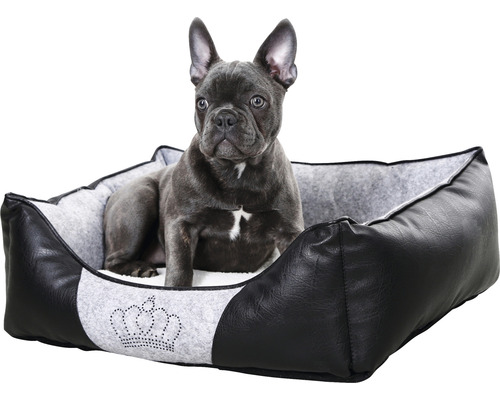 Französische Bulldogge sitzt in einem schwarzen Hundebett mit Kronenmuster