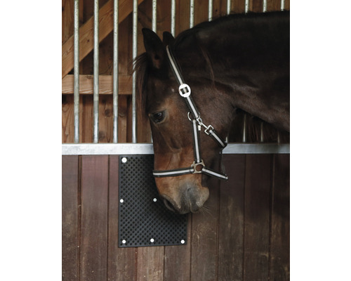 Cheval dans un box avec tapis à gratter fixé