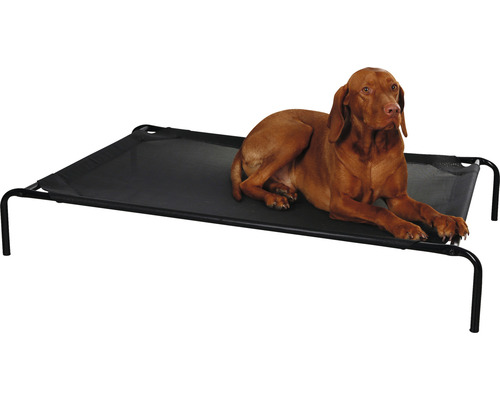 Hund liegt auf einem erhöhten Hundebett aus Textil und Metall