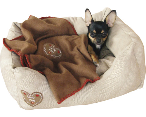 Chihuahua liegt in Hundebett mit brauner Decke