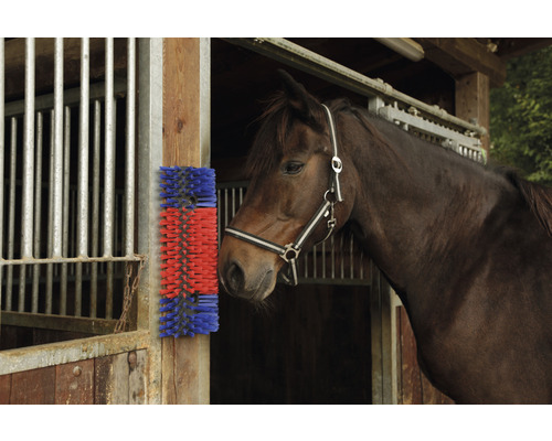 Brosse de soin pour chevaux pour l''entretien du pelage dans l''écurie