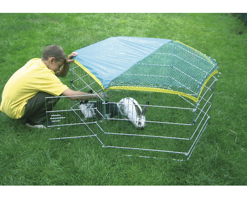 Enfant avec enclos extérieur avec couverture en filet et lapins dans le jardin