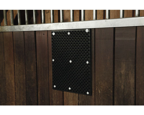 Tapis de massage pour chevaux pour montage mural