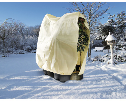 Housse de protection des plantes dans un jardin d''hiver