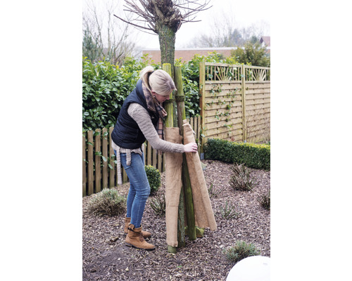 Natte de protection hivernale Videx en feutre de jute EXTREME 50x150 cm naturel Femme installant une protection hivernale en jute sur un arbre dans le jardin