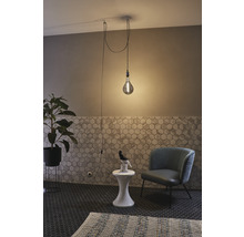 Raumansicht mit Pendelleuchte, Sessel und Zimmerpflanze im Topf