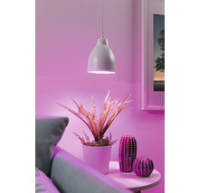 Scène décorative avec suspension, plante en pot et éléments décoratifs sur une table d''appoint
