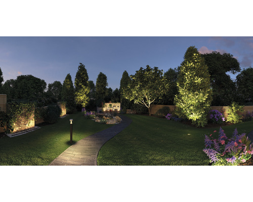 Jardin éclairé avec chemin, arbres, buissons et fleurs au crépuscule.