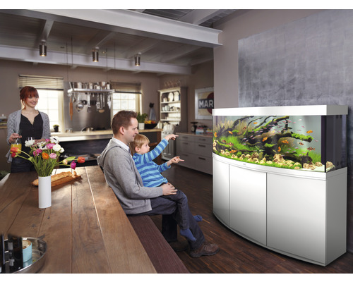 Une famille regarde un aquarium avec des poissons et des plantes aquatiques dans une pièce à vivre lumineuse.