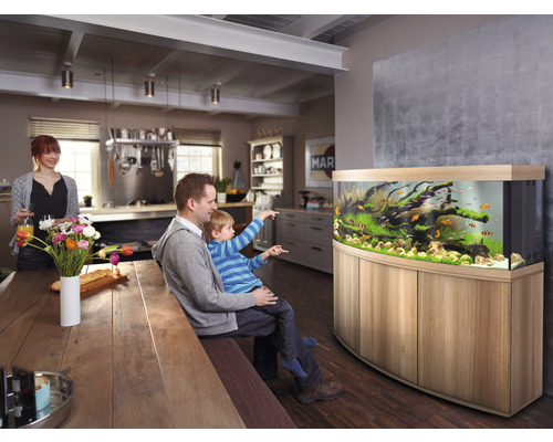 Familie betrachtet Aquarium im Wohnzimmer mit Fischen und Pflanzen