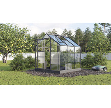 Gewächshaus mit Glaswänden und geöffneten Dachfenstern im Garten